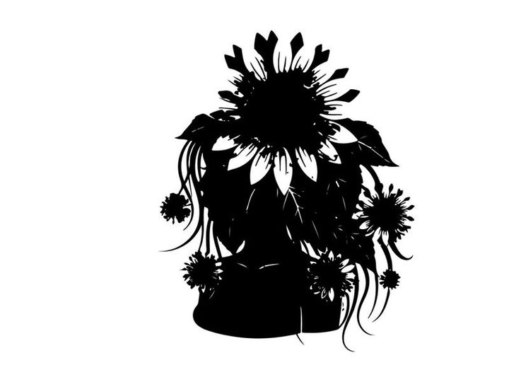 Silhouette of sunflowers in a vase on white background