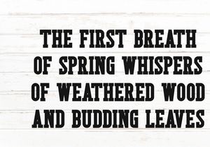 Rustic Spring - Modern Slab Serif