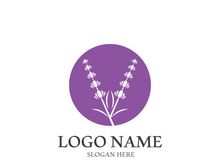 Lavender flower vector icon illustration design template