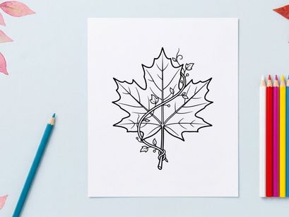 Elegant autumn maple leaf with delicate vine details. Artistic botanical illustration for nature-themed designs.