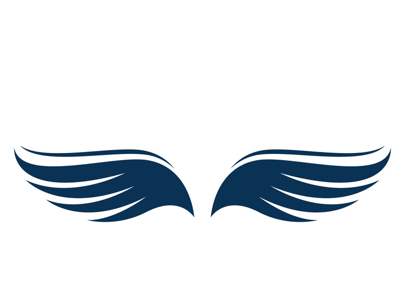 Wing bird logo vector