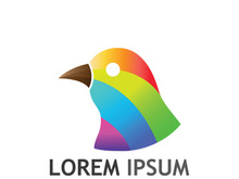 Beautiful and colorful bird creative logo design.