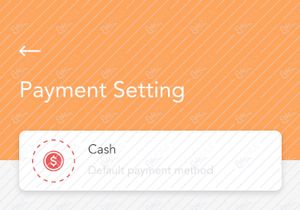 Payment concept screen with 2 options