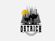 Ostrich Logo Design, Desert Animal Illustration
