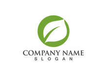 Green leaf logo Vector