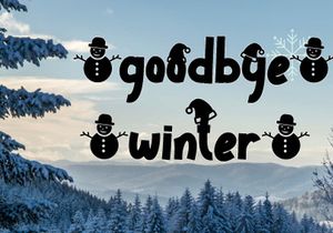 Winter Style