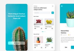 Cacti - Cactus Store Online Mobile App