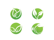 green leaf ecology vector