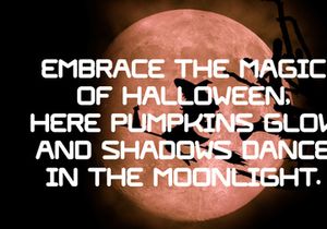 Pumpkin Seamless - Playful Sans Serif