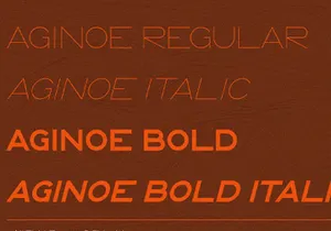 Aginoe - Modern Sans Serif Font