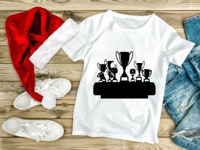 Collection of various trophies on a table or shelf display