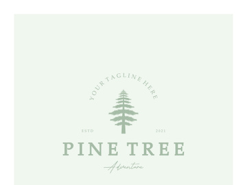 simple pine or fir tree logo,evergreen.for pine forest,adventurers,camping,nature,badges and business.vector preview picture