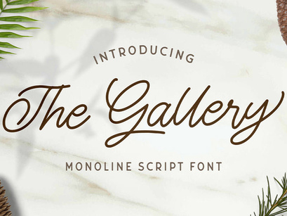 The Gallery - Monoline Script Font