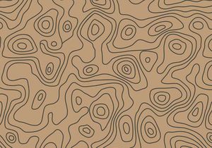 Seamless repeating topographic contour map background