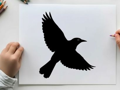 Silhouette of a bird in flight with wings spread wide