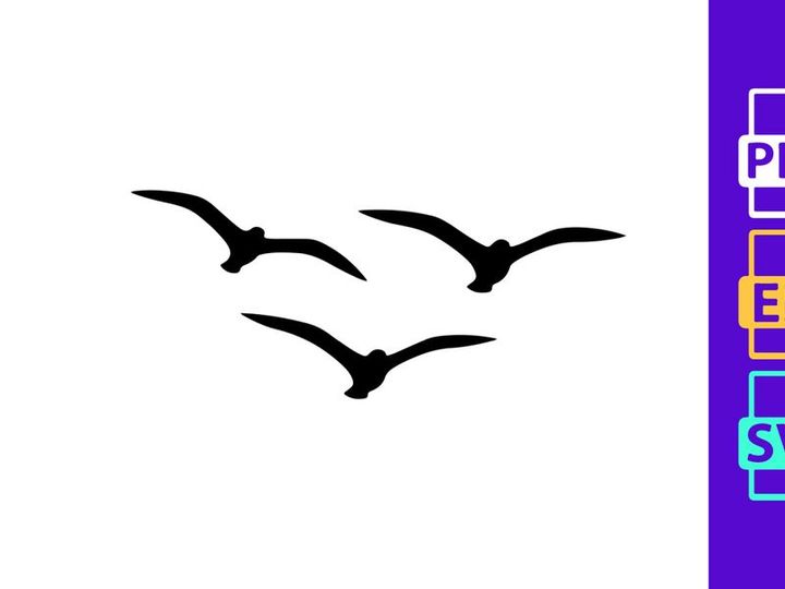 Flock of seagulls in flight