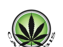 Mariuhana leaf symbol, marijuana or hemp icon, cannabis medical sign, weed drug vector illustration