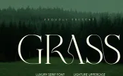 Grass - Serif Font