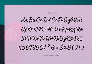 Traffic Rolland | Casual Handwritten
