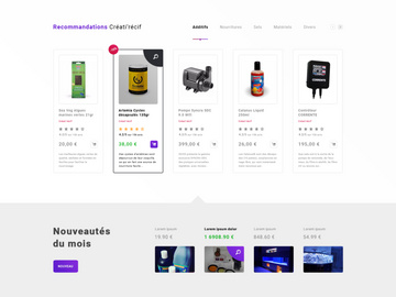 电子商务产品(e-Commerce Products)
