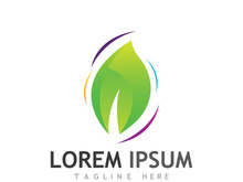 Colorful natural leaf logo design.