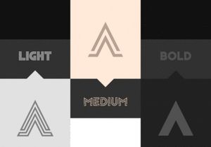 Privus Type Family — Free Demo