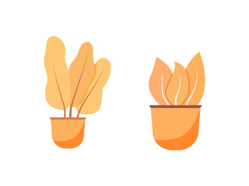 Orange houseplant flat color vector object set preview picture