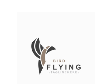 Flying Bird modern logo design isolated white background template preview picture