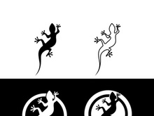 Lizard Chameleon Gecko Silhouette black vector