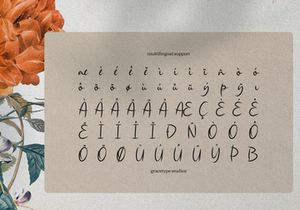 Single Whimney | Handwritten Script