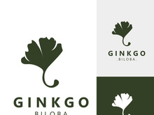 Ginkgo biloba leaf logo. can be used for herbal health products modern style logo design template