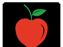 Butterfly logo design