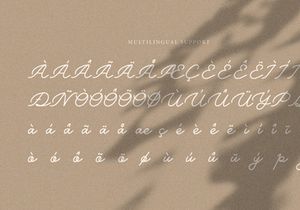 Belly Shine | Handwritten Script Font