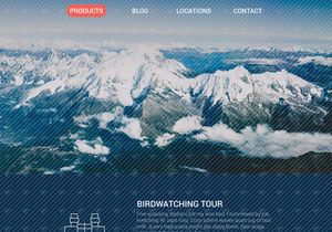 Travel Website UI