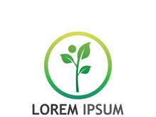 Natural green leaf logo.