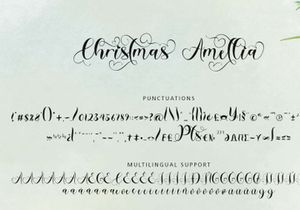 Christmas Amellia