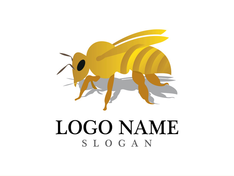 Bee logo vector icon illustration design