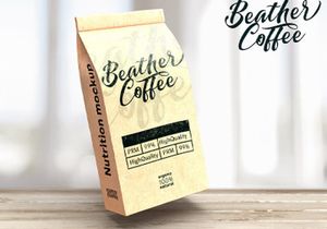 Dayden Batemisy - Brush Script Font