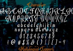 Ansagia Metta - Bold Script Font