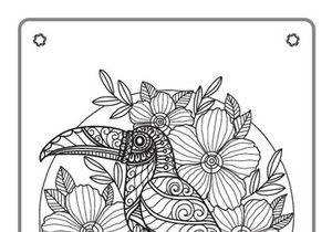 6 Birds  Coloring Book Pages KDP Interior.
