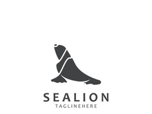Sea lion mammal logo design animal sea illustration template
