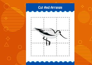 10 Pages Cut and arrange with a bird worksheet for kids. Educational game for children