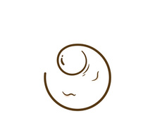 Egg Logo icon Vector Illustration