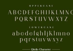 Qitello Ligature Serif Typeface