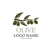 olive icon vector illustration design template