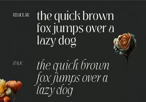 Jedira - Modern Branding Logo font
