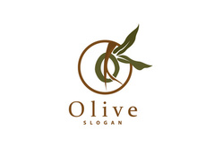Olive Oil Logo, Olive Leaf Plant Herbal Garden Vector