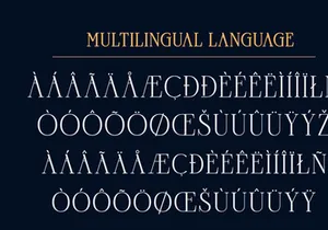 Goord - Modern Serif Family