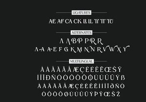 Beqiner Elegant Serif Typeface