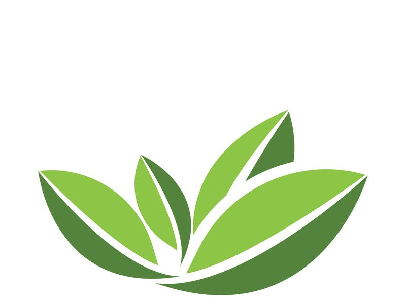 Logos of green tree leaf ecology nature element vector